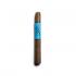 Blackbird Rook Corona Cigar - 1 Single